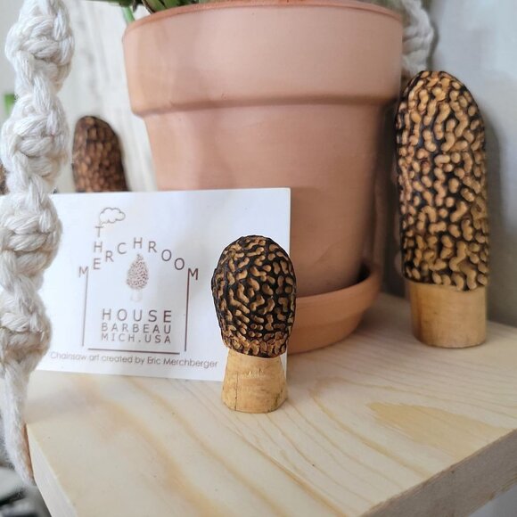Mixed set of Carved Morel Merchrooms Variety Pack Plant Stake Decor Mushroom - Picture 9 of 11